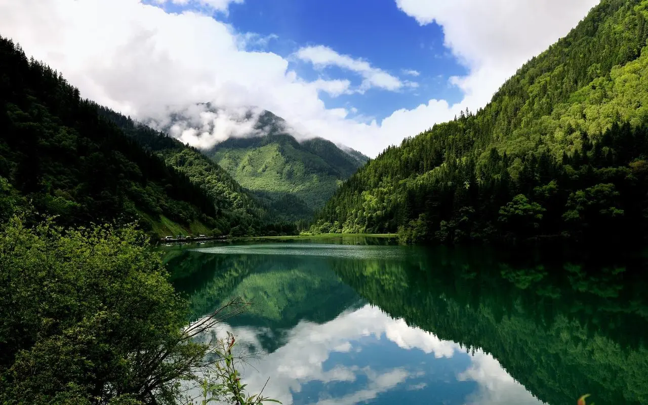 可靠性高端